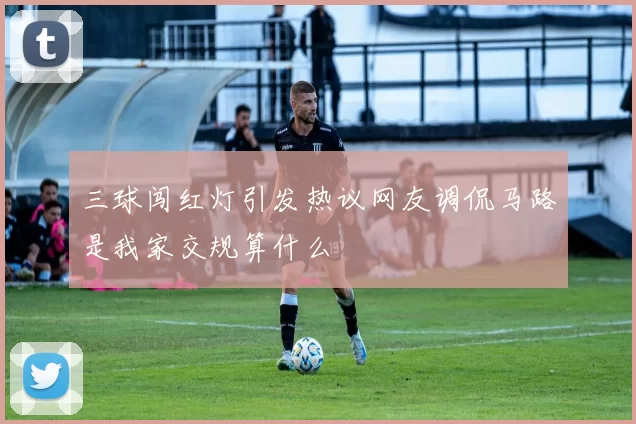 三球闯红灯引发热议网友调侃马路是我家交规算什么