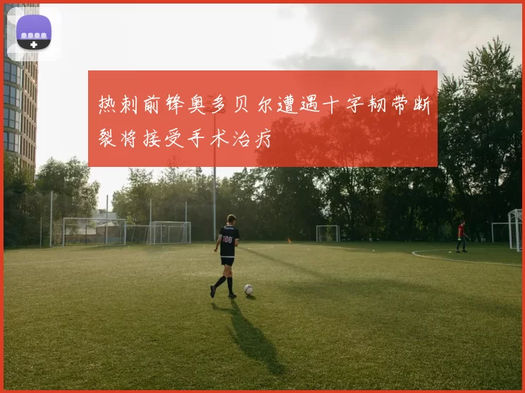 热刺前锋奥多贝尔遭遇十字韧带断裂将接受手术治疗